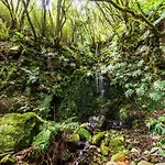 Casa Da Cascata Furnas (Azores)